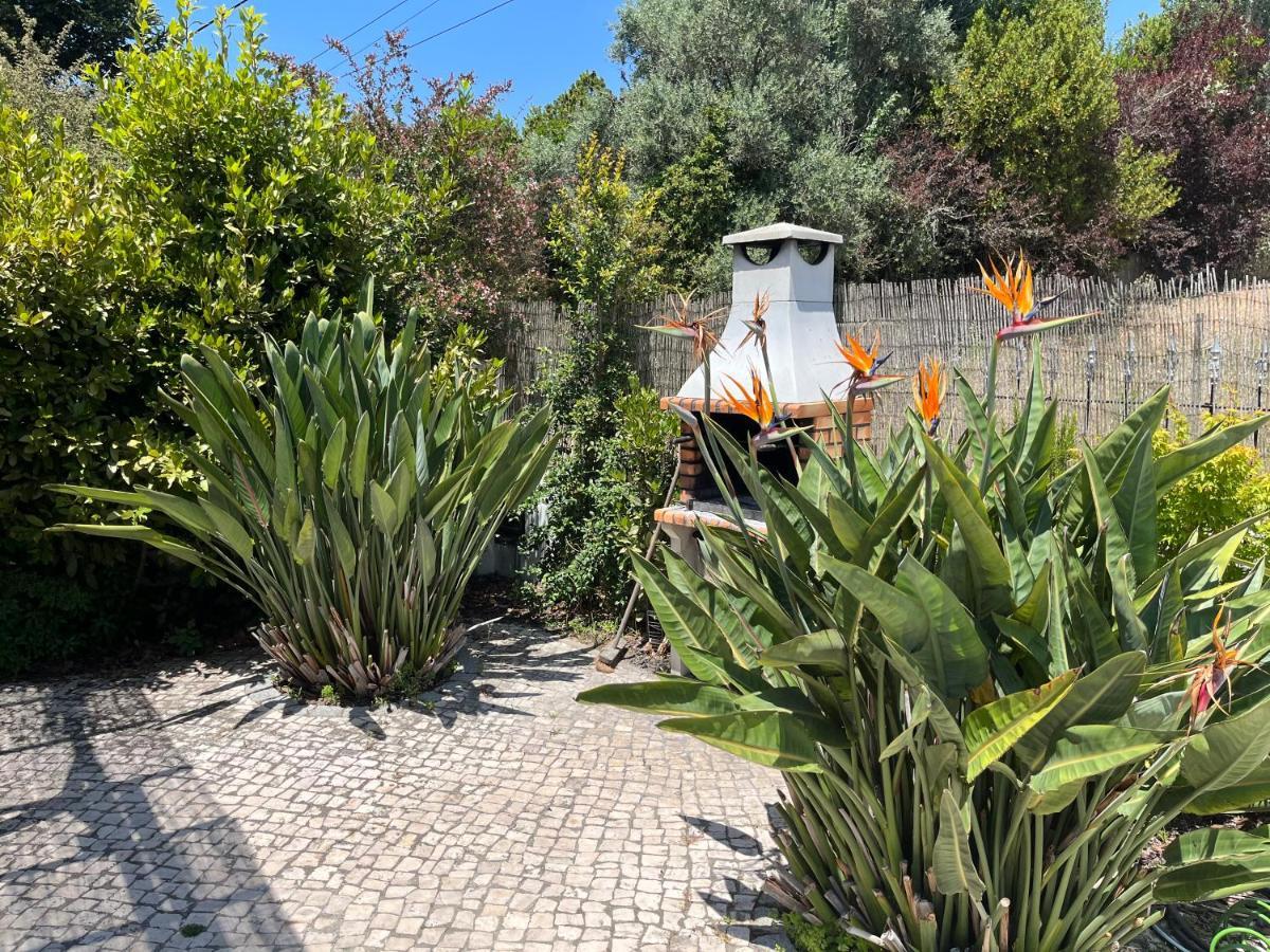 Casa Pausa Sesimbra Holiday Home 外观 照片
